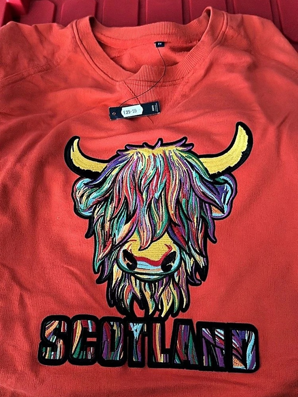 Men’s 2xGraphic Sweatshirt Orange NWT